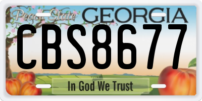 GA license plate CBS8677