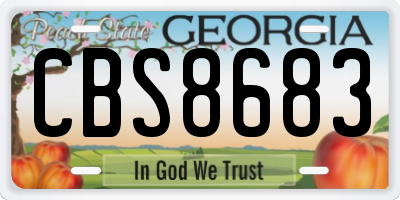 GA license plate CBS8683