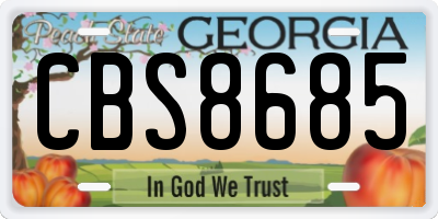 GA license plate CBS8685