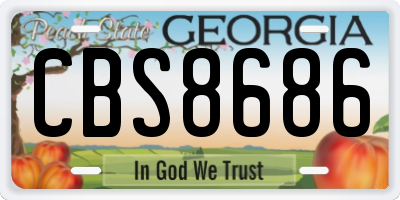 GA license plate CBS8686