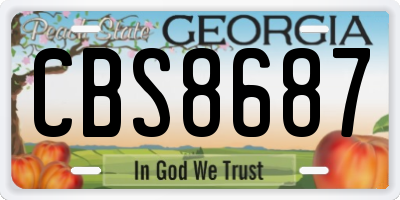 GA license plate CBS8687