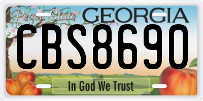 GA license plate CBS8690