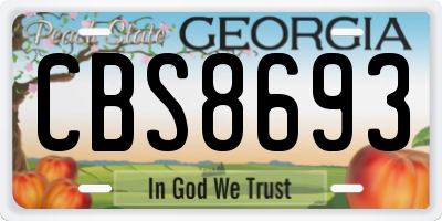 GA license plate CBS8693
