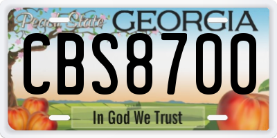 GA license plate CBS8700