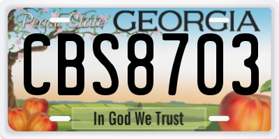 GA license plate CBS8703