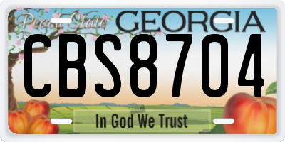 GA license plate CBS8704