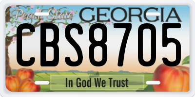 GA license plate CBS8705
