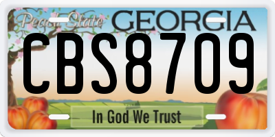 GA license plate CBS8709
