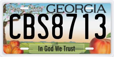 GA license plate CBS8713