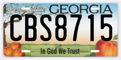 GA license plate CBS8715