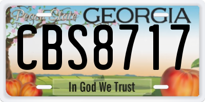 GA license plate CBS8717