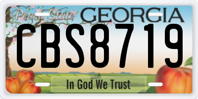 GA license plate CBS8719