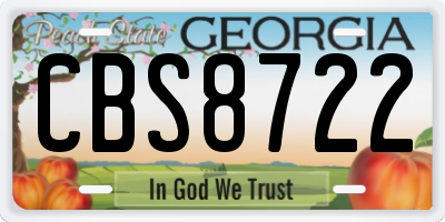 GA license plate CBS8722