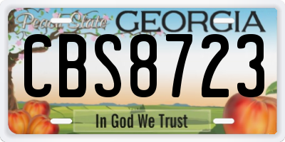 GA license plate CBS8723