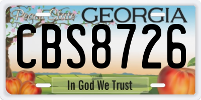 GA license plate CBS8726