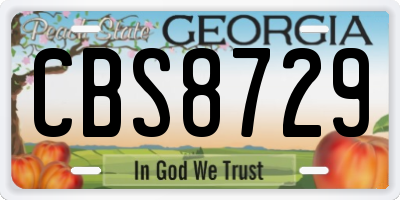 GA license plate CBS8729