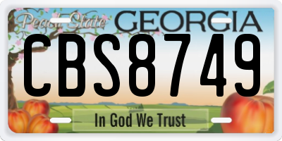 GA license plate CBS8749