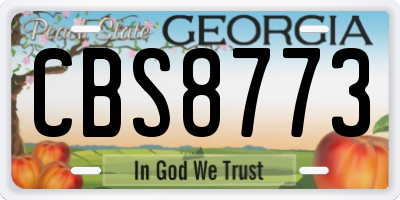 GA license plate CBS8773