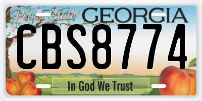 GA license plate CBS8774