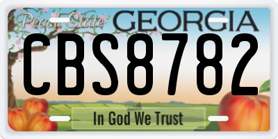 GA license plate CBS8782