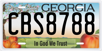 GA license plate CBS8788