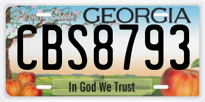 GA license plate CBS8793