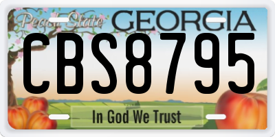 GA license plate CBS8795