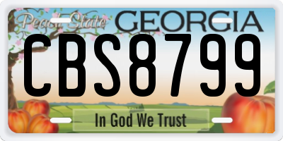 GA license plate CBS8799