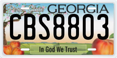 GA license plate CBS8803