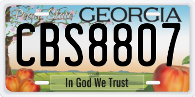 GA license plate CBS8807