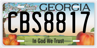GA license plate CBS8817