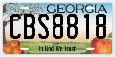 GA license plate CBS8818
