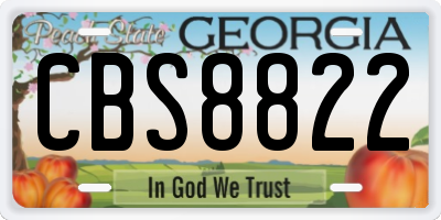 GA license plate CBS8822