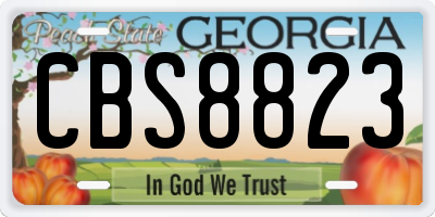 GA license plate CBS8823