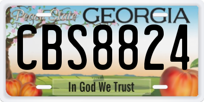 GA license plate CBS8824