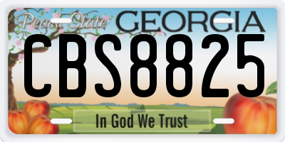 GA license plate CBS8825