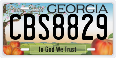 GA license plate CBS8829