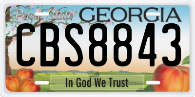 GA license plate CBS8843