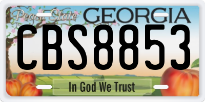 GA license plate CBS8853