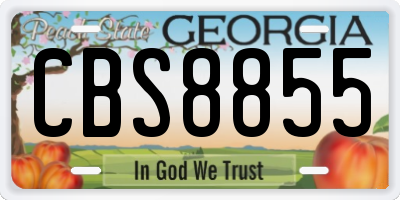 GA license plate CBS8855