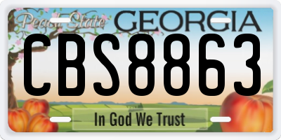 GA license plate CBS8863