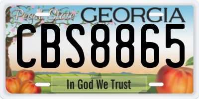 GA license plate CBS8865