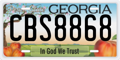 GA license plate CBS8868