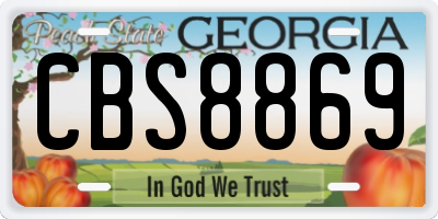 GA license plate CBS8869