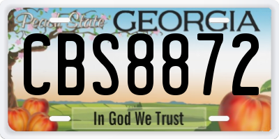 GA license plate CBS8872