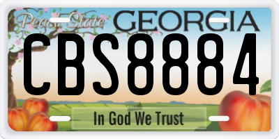 GA license plate CBS8884