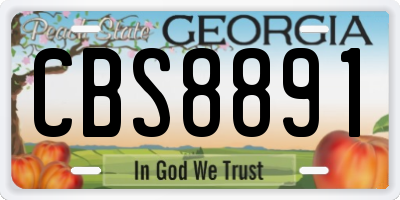 GA license plate CBS8891