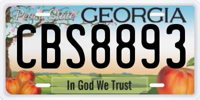 GA license plate CBS8893