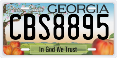 GA license plate CBS8895