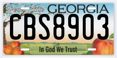 GA license plate CBS8903